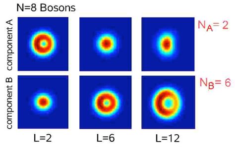 Color Online Density Plots Of Conditional Probabilities For A