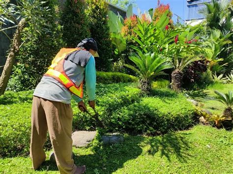 Jenis Tanaman Untuk Taman Depan Rumah