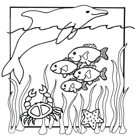 Coloriage Créatures de la Mer télécharger et imprimer gratuit sur