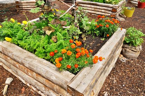 Building a Raised Flower Bed in North Texas