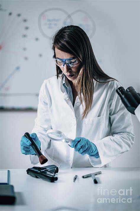 Forensics Expert Examining Crime Scene Evidence 3 By Microgen Images Science Photo Library