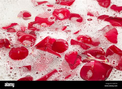 Rose Petals Bath Hi Res Stock Photography And Images Alamy