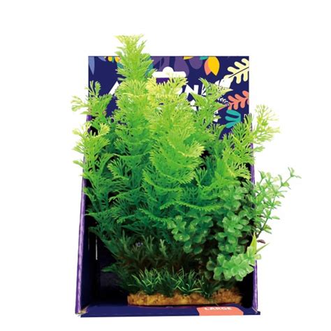 Amazon Jungle Plants 20cm – Aquarium Store Melbourne | Marine ...