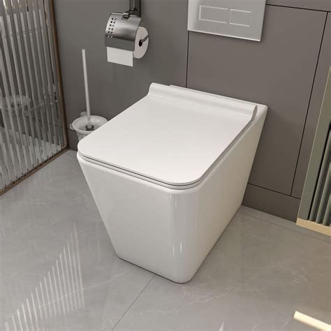 Mijic Watermark Wall Hung Floor Standing Ceramic Rimless One Piece