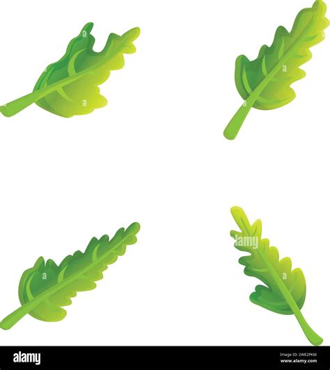 Arugula Icons Set Cartoon Vector Fresh Green Arugula Leaf Organic