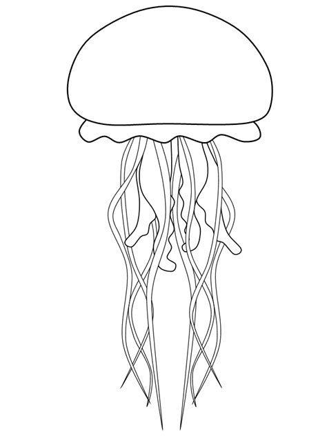 Free Printable Jellyfish Template
