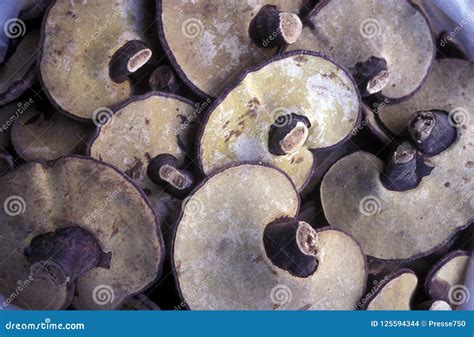 Southkorea Seoul Market Mushroom Stock Photo Image Of Food Korean