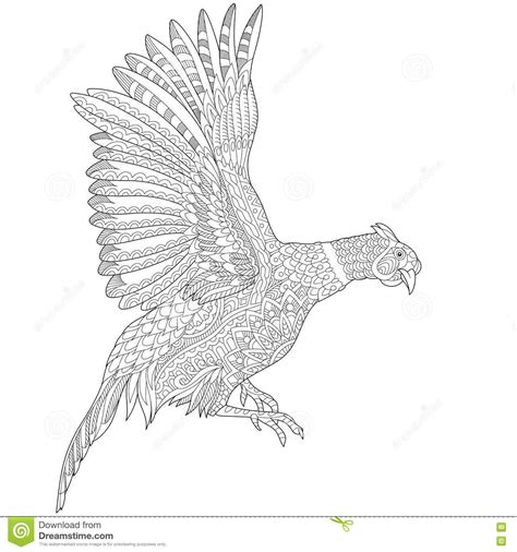 Zentangle Stylized Pheasant Bird Stock Vector Image