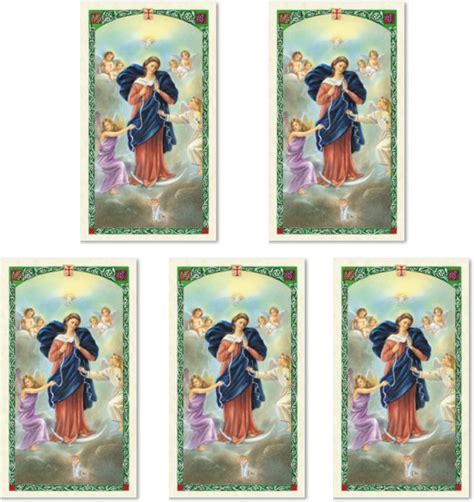 H Holly Lines Mary Untier Of Knots Prayer Card Laminated Holy Cards Set Of Five Amazon Ca