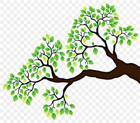 Branch Tree Drawing Clip Art, PNG, 950x835px, Branch, Art, Can Stock ...