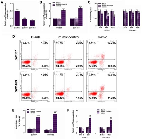 Microrna‑195 Suppresses Rectal Cancer Growth And Metastasis Via