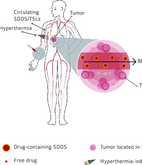 Schematic Representation Of Triggered Drug Release From Smart Drug