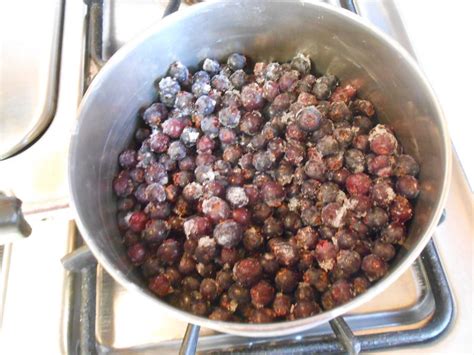 Juneberry (Saskatoon or Serviceberry) Jam, a 1924 recipe - A Housewife Writes