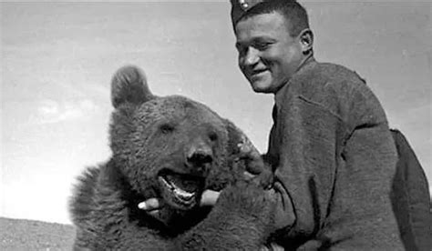 Segunda Guerra Mundial Wojtek El Oso Que Combati A Los Nazis Mundo