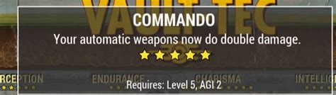 Commando Perk Hip Fire Accuracy Improvement And Stagger Effect BEGONE