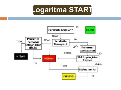 Materi Konsep Dan Model Triase Bencanapptx