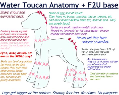 Water Toucan Anatomy (And Base!) [READ DESC] by LastbutnotAlise on DeviantArt