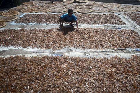 Produksi Kerupuk Kulit Antara Foto