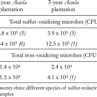 Total Numbers Of Sulfur And Iron Oxidizing Microbes Isolated From Soil