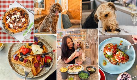 London's Best Dog-Friendly Brunch Spots - The Handbook