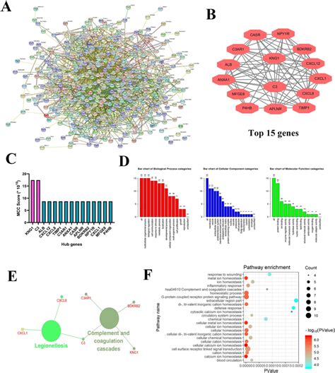 PPI Analysis Of DEGs Screening Of Hub Gene And Pathway Analysis Of