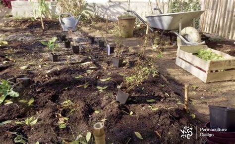 Comment bien commençer un jardin en permaculture