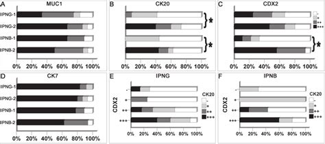 Expression Profile Of Immunohistochemical Markers In Ipng And Ipnb