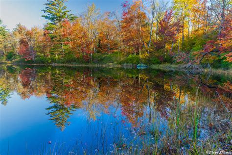 Clarksburg State Park | Massachusetts, New England | Steve Shames Photo ...