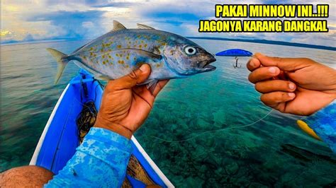 Mancing Jigging Gagal Landed Lanjut Mancing Casting Karang Dangkal