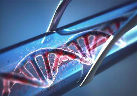 DNA And RNA Biomarkers Why Scientists Need To Use Them The Scientist