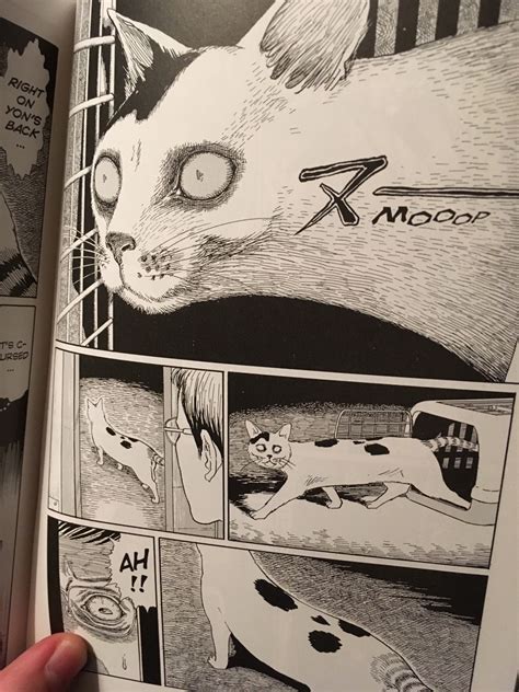 Junji Itos Insanity Today Arrived Junji Itos Cat Diary To Complete My