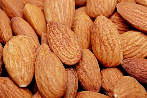 Kacang Almond Gila Protein Foto Gratis Di Pixabay