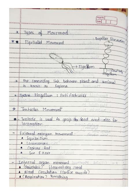 Solution Th Ncert Locomotion And Movement Handwritten Notes Notes