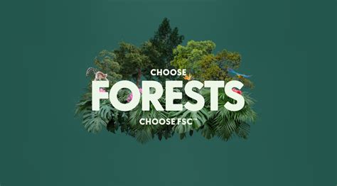 forest stewardship council  linkedin    healthy fsc certified