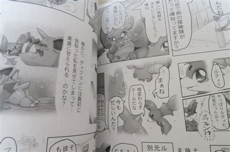 Doujinshi Pokemon Zoroark And Braixen Etc B5 54pages Odoshiro Fox Days