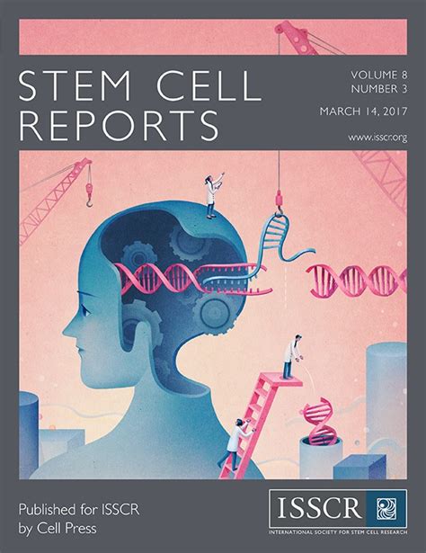 Xiaohong S Paper Featured On The Cover Of Stem Cell Reports Pouladi Lab