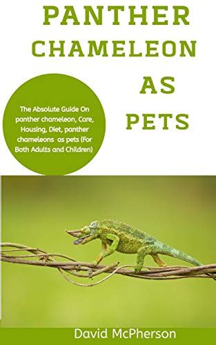 Panther Chameleon As Pets The Absolute Guide On Panther Chameleon