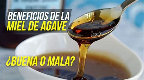 Beneficios De La Miel De Agave Y Sus Peligros