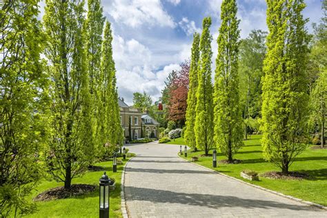 Дизайн аллеи (61 фото) - красивые картинки и HD фото