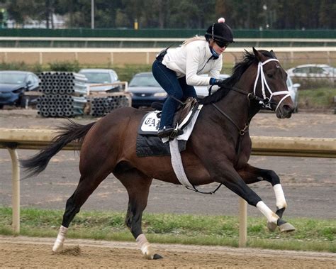 Sorteados Los Puestos De Pista Para Las Breeders Cup Gamine Life Is