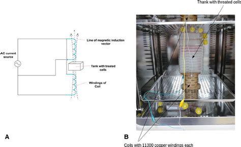 (A) Scheme of experiment, (B) Experimental setup. | Download Scientific ... 