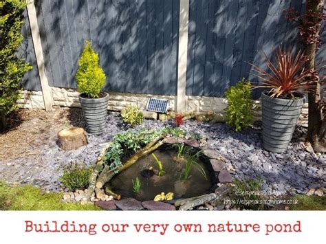 How To Build Nature Wildlife Pond In Your Garden Et Speaks From Home