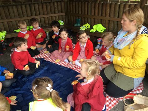 Grateley Primary School Bear Class Picnic