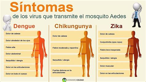 SÍNTOMAS DENGUE ZIKA Y CHIKUNGUNYA YouTube