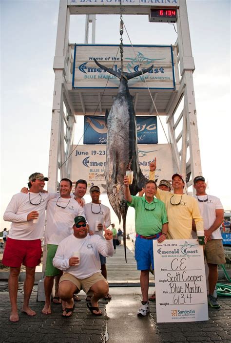 Big Blue And Record Numbers At 2013 Emerald Coast Blue Marlin Classic