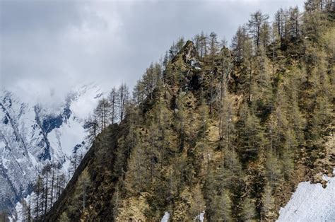 premium photo steep mountain  trees