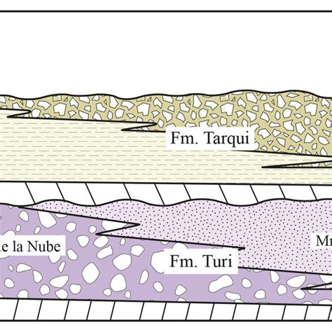 Relaciones Estratigr Ficas De Las Formaciones Turi Y Tarqui En La