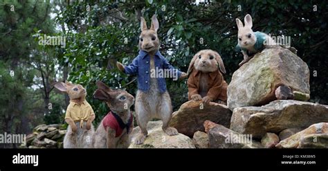 Peter Rabbit Is An Upcoming 2018 3d Live Actioncgi Animated Adventure