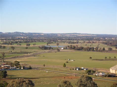 Gulgong Station