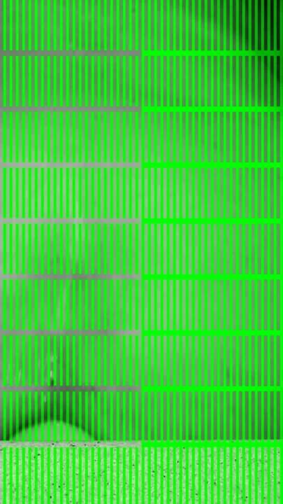 Free Ten Inch Cock Gay Porn Videos XHamster